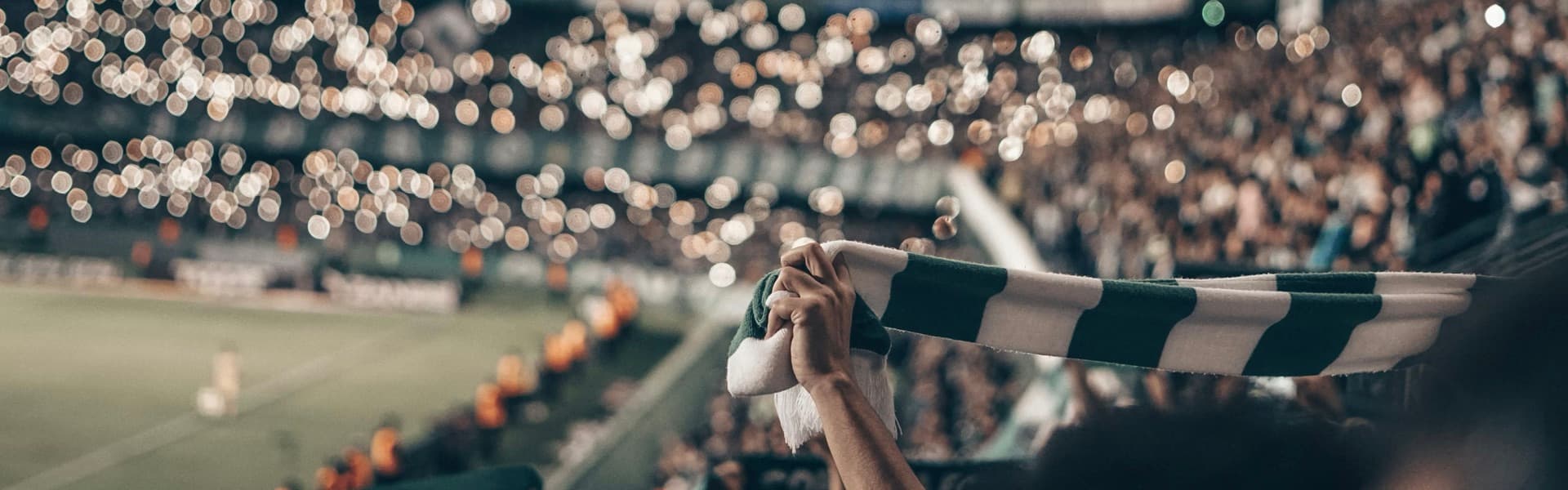 Fans in the stands at a sports event